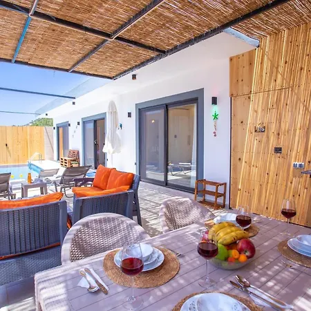 فيلة Panorama *
